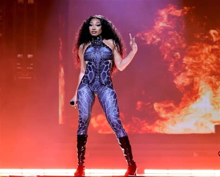 Megan Thee Stallion Seemingly Shades CeeLo Green After Singer Blasts Her For ‘Shameless’ Music